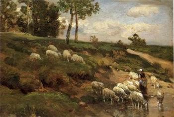  Sheep 170